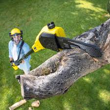 Best Soil Testing and Treatment  in South Lake Tahoe, CA